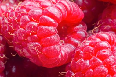 Olgun ahududulu makro shot. Meyve arka planı. Seçmeli odak