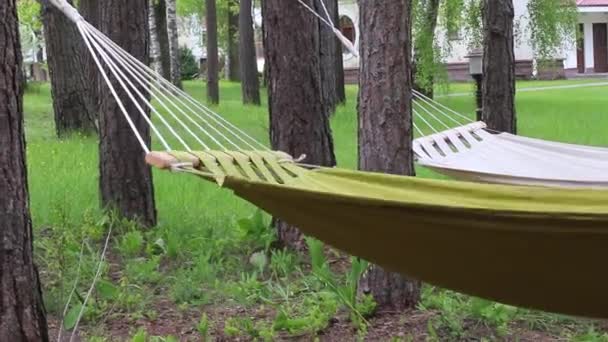 Biały i zielony hamak w ogrodzie, zbliżenie. Pusty hamak na relaks — Wideo stockowe