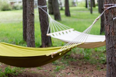 Bahçede beyaz ve yeşil hamak, yakın plan. Rahatlamak için boş hamak