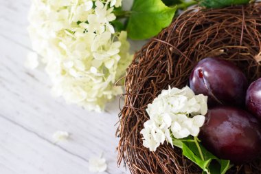 Tahta bir arka planda, üzüm sepetinde olgun erikler, ortanca çiçekleri yakınlarda yatıyor.