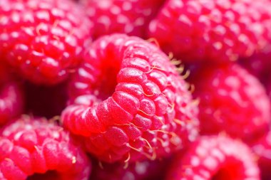 Olgun ahududulu makro shot. Meyve arkaplanı. Seçici odak