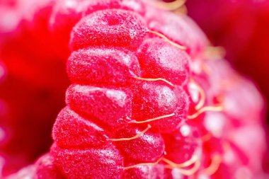 Olgun ahududulu makro shot. Meyve arka planı. Seçmeli odak