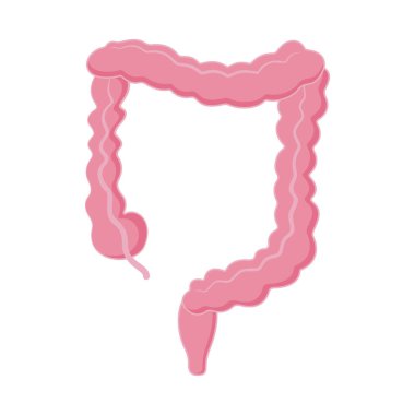 Beyaz arkaplanda insan kolon simgesi izole edildi