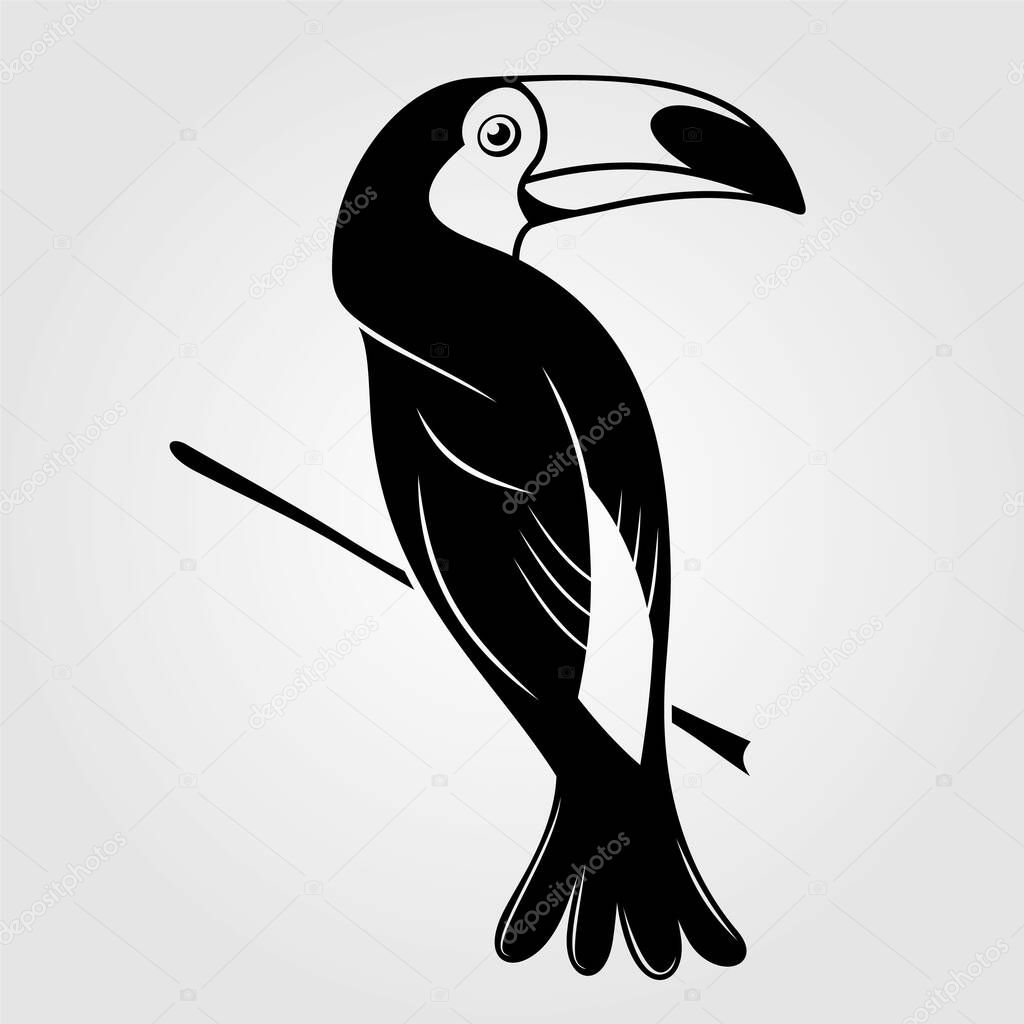 Toucan bird isolated on white background. Vector illustration