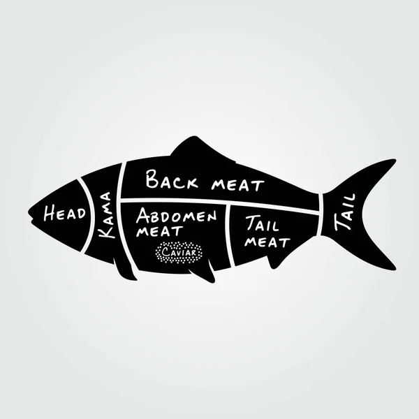 Cuts Fish Butchery Diagram Fish Silhouette Vector Illustration — Stock Vector