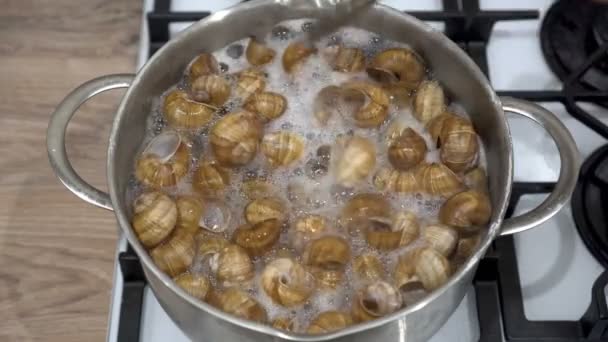 Un uomo con un cucchiaio mescola gusci vuoti di lumache da giardino in una casseruola, che vengono cotti per la pulizia in acqua bollente. Il processo di cottura di un piatto gourmet. Cucina francese. Primo piano. Vista dall'alto. 4K. — Video Stock