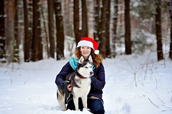 숲에서 허스키 크리스마스 모자를 소녀가 있습니다 앉아서 줍니다 그녀는 카메라 — 스톡 사진