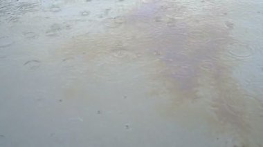 Yağmurlu bir günde, su yüzeyindeki petrol sızıntısının çok renkli noktaları yüzer. Üst Manzara. Çevre kirliliği kavramı. 4K