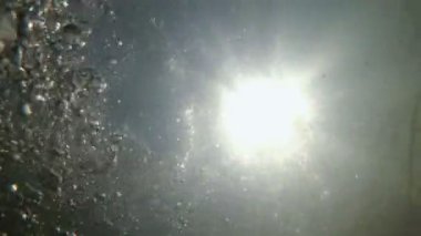 Nehrin dibinden güneşe uzanan sıra dışı bir manzara, parlak güneşli bir günde suyun yüzeyinde küçük balıklar ve nilüferler. Kabarcıklar yüzeye çıkar. 4K