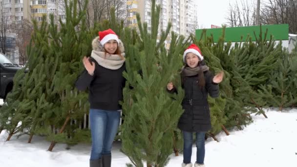 Deux adolescentes joyeux chapeaux de Père Noël regardent dans la caméra et agitent leurs mains en saluant, debout à un marché de Noël de rue avec un arbre de Noël vert dans leurs mains. 4K — Video