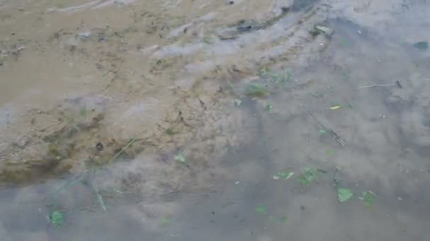 Vista superior da superfície da água em que o lodo, a lama e a areia flutuam do fundo e fervem na superfície durante a chuva em um dia nublado. Mau tempo. Poluição ambiental. Close-up. 4K — Vídeo de Stock