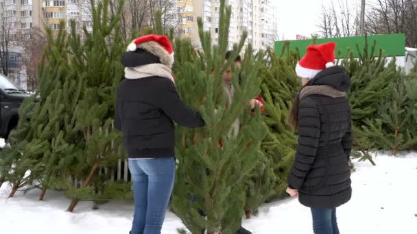 Papá y dos jóvenes hijas adolescentes con sombreros de Papá Noel están comprando un árbol de Navidad en un mercado de Navidad al aire libre. El concepto de prepararse para la celebración de la Navidad. 4K — Vídeos de Stock