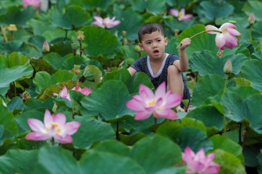 Vietnamlı çocuk, Thap Muoi, dong thap vilayetindeki büyük gölde geleneksel ahşap teknede pembe nilüferle oynuyor. Vietnam, kültür ve yaşam konsepti.