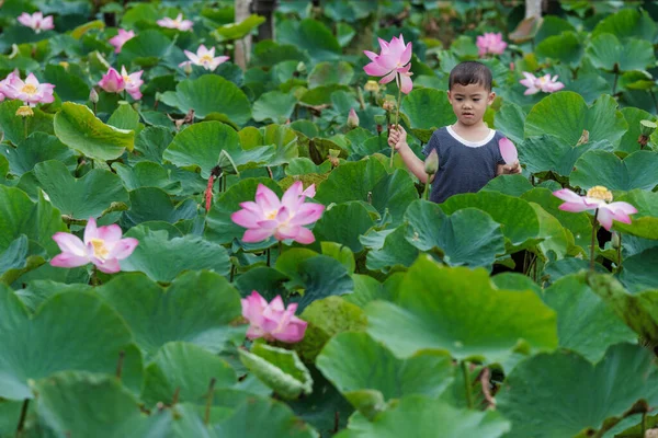 Вьетнамский Мальчик Играет Розовым Лотосом Над Традиционной Деревянной Лодкой Большом — стоковое фото