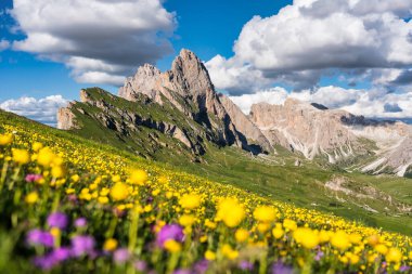 Seceda peak. Trentino Alto Adige, Dolomites Alps, South Tyrol, Italy. Odle mountain range, Val Gardena. Majestic Furchetta peak. Odles group seen from Seceda, Santa Cristina Val Gardena.