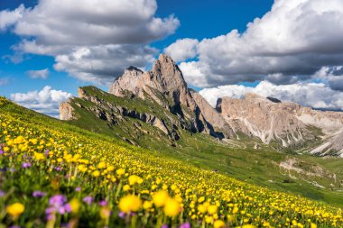 Seceda peak. Trentino Alto Adige, Dolomites Alps, South Tyrol, Italy. Odle mountain range, Val Gardena. Majestic Furchetta peak. Odles group seen from Seceda, Santa Cristina Val Gardena.