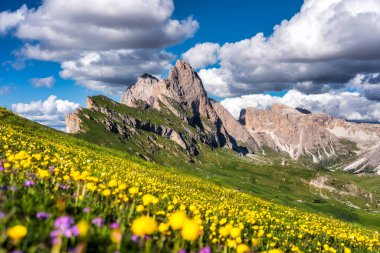 Seceda peak. Trentino Alto Adige, Dolomites Alps, South Tyrol, Italy. Odle mountain range, Val Gardena. Majestic Furchetta peak. Odles group seen from Seceda, Santa Cristina Val Gardena.