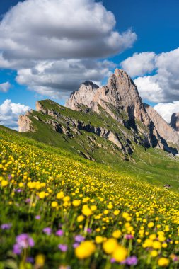 Seceda peak. Trentino Alto Adige, Dolomites Alps, South Tyrol, Italy. Odle mountain range, Val Gardena. Majestic Furchetta peak. Odles group seen from Seceda, Santa Cristina Val Gardena.