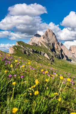 Seceda peak. Trentino Alto Adige, Dolomites Alps, South Tyrol, Italy. Odle mountain range, Val Gardena. Majestic Furchetta peak. Odles group seen from Seceda, Santa Cristina Val Gardena.