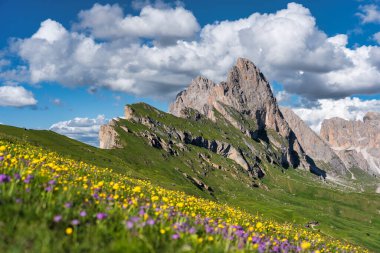 Seceda peak. Trentino Alto Adige, Dolomites Alps, South Tyrol, Italy. Odle mountain range, Val Gardena. Majestic Furchetta peak. Odles group seen from Seceda, Santa Cristina Val Gardena.