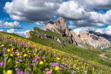 Seceda peak. Trentino Alto Adige, Dolomites Alps, South Tyrol, Italy. Odle mountain range, Val Gardena. Majestic Furchetta peak. Odles group seen from Seceda, Santa Cristina Val Gardena.