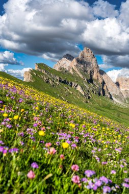 Seceda peak. Trentino Alto Adige, Dolomites Alps, South Tyrol, Italy. Odle mountain range, Val Gardena. Majestic Furchetta peak. Odles group seen from Seceda, Santa Cristina Val Gardena.
