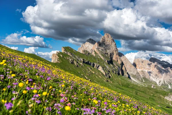 Seceda peak. Trentino Alto Adige, Dolomites Alps, South Tyrol, Italy. Odle mountain range, Val Gardena. Majestic Furchetta peak. Odles group seen from Seceda, Santa Cristina Val Gardena.