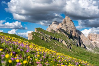 Seceda peak. Trentino Alto Adige, Dolomites Alps, South Tyrol, Italy. Odle mountain range, Val Gardena. Majestic Furchetta peak. Odles group seen from Seceda, Santa Cristina Val Gardena.
