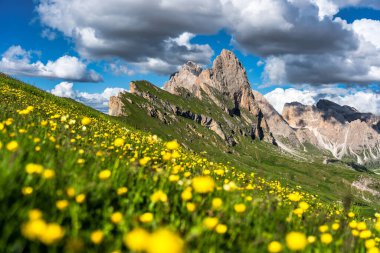 Seceda peak. Trentino Alto Adige, Dolomites Alps, South Tyrol, Italy. Odle mountain range, Val Gardena. Majestic Furchetta peak. Odles group seen from Seceda, Santa Cristina Val Gardena.
