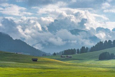 Ethereal green landscape with view of huts and trees on rolling hills and mountains hidden in fog at Sunrise of Alp De Suisi, Dolomites, Italy