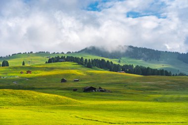 Ethereal green landscape with view of huts and trees on rolling hills and mountains hidden in fog at Sunrise of Alp De Suisi, Dolomites, Italy