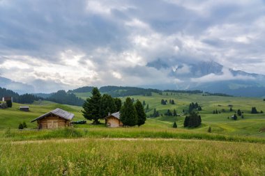 Ethereal green landscape with view of huts and trees on rolling hills and mountains hidden in fog at Sunrise of Alp De Suisi, Dolomites, Italy