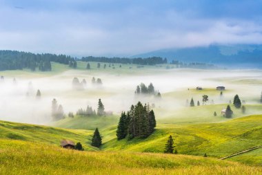Ethereal green landscape with view of huts and trees on rolling hills and mountains hidden in fog at Sunrise of Alp De Suisi, Dolomites, Italy