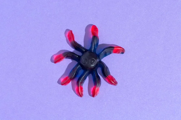 紫色の背景にゴーヤの甘いクモ。ハロウィン — ストック写真