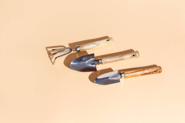 Kürekler, bej arka planda tırmıklar. Bahçe takımı. Gölge. izometrik