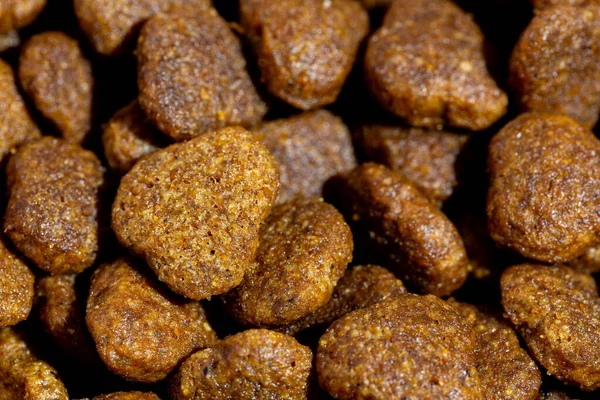 Dog or cat food or kibble shot up close. Top view background — 스톡 사진