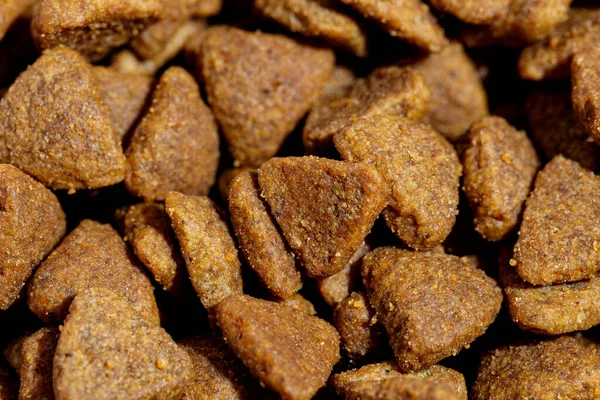 Τροφή για σκύλους ή γάτες ή κροκέτες από κοντά. Υπόβαθρο προβολής — Φωτογραφία Αρχείου