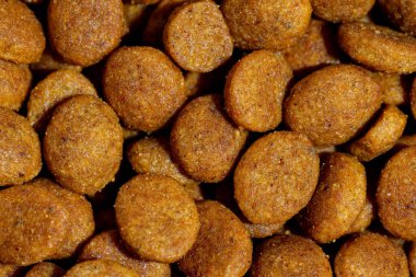 Dog or cat food or kibble shot up close. Top view background. 