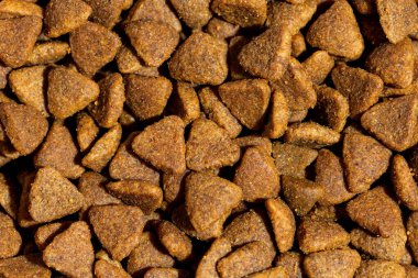 Köpek ya da kedi maması ya da köpek maması yakından çekilmiş. Üst görünüm arkaplanı. 