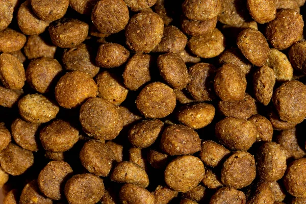 Dog or cat food or kibble shot up close. Top view background.