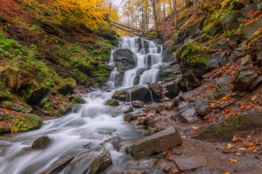Ormanda güzel bir şelale, sonbahar mevsimi açık arka plan
