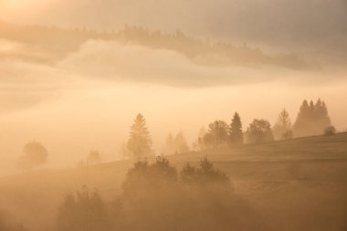Dağlarda sis, ağaçlarda siluetler, doğal arka plan.