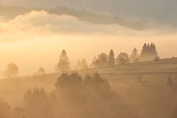 Туман Горах Силоси Дерев Природний Фон Відкритому Повітрі — стокове фото