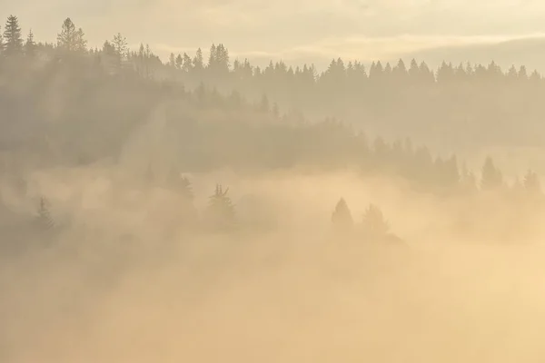 Туман Горах Силоси Дерев Природний Фон Відкритому Повітрі — стокове фото
