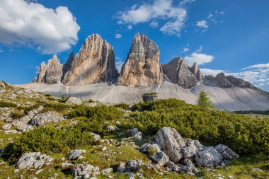 İtalyan Dolomitleri 'ndeki Tre Cime di Lavaredo Ulusal Parkı' nda güzel bir yaz manzarası.
