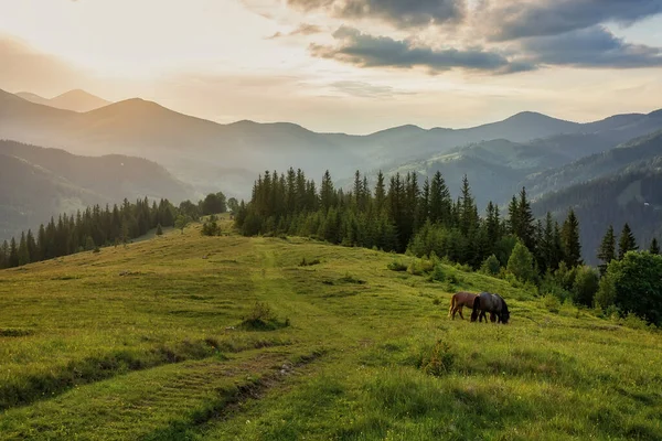 美しい山の風景 夏の屋外の背景 — ストック写真
