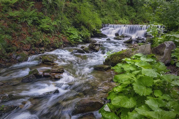 Gyönyörű Vízesés Erdőben Nyári Szabadtéri Háttér — Stock Fotó