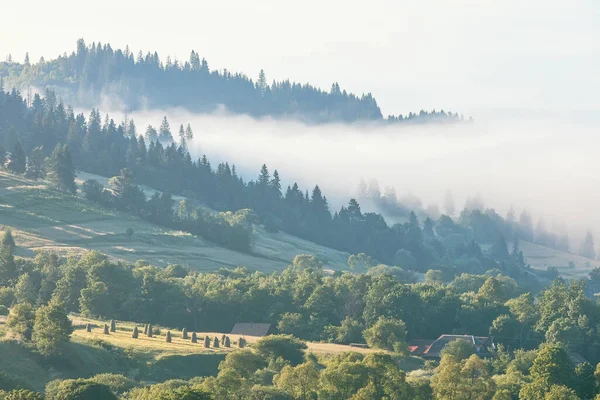 Hermoso Paisaje Montaña Con Pilas Heno Fondo Aire Libre Verano —  Fotos de Stock