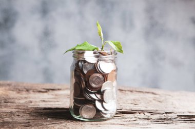 Tasarruf bankasında küçük bir filiz.