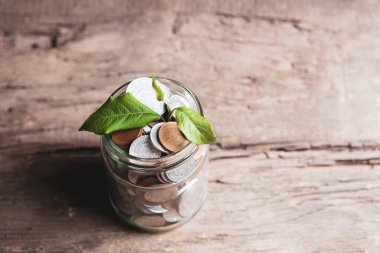 Tasarruf bankasında küçük bir filiz.